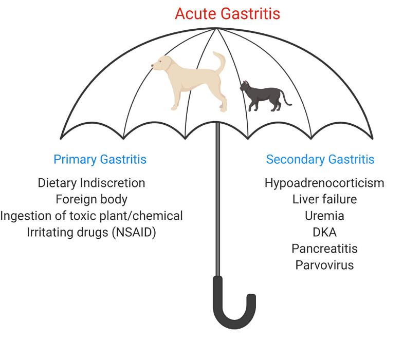<p>primary vs secondary</p>