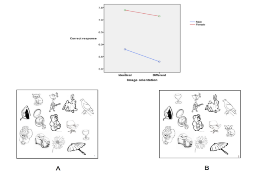 <ul><li><p><span style="background-color: transparent;"><span>Men and women are instructed to press one key if both arrays are the same and another key&nbsp;if they are different</span></span></p></li></ul><p></p>