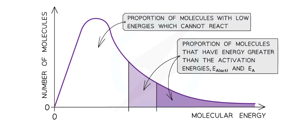 <ul><li><p><strong>Catalysts</strong><span>&nbsp;</span>provide the reactants another pathway which has a lower activation energy</p></li><li><p>By lowering<span>&nbsp;</span><em>E<sub>a</sub>,<span>&nbsp;</span></em>a<span>&nbsp;</span><strong>greater proportion<span>&nbsp;</span></strong>of molecules in the reaction mixture have the activation energy, and therefore have sufficient energy for an<span>&nbsp;</span><strong>effective collision</strong></p></li><li><p>As a result of this, the rate of the catalysed reaction is increased compared to the uncatalysed reaction</p><p></p></li></ul>