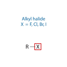 <p>alkane in which one of its H has been replaced by a halogen</p>