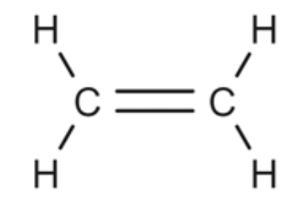 <p>Alkane or Alkene?</p>