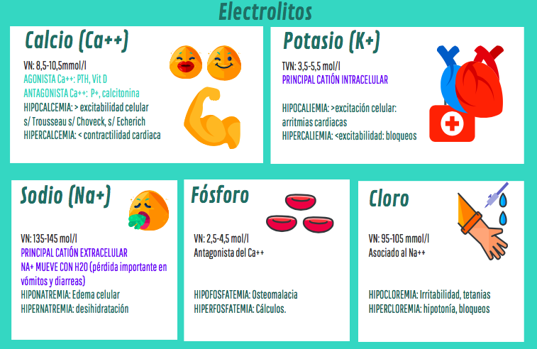 <table style="min-width: 165px;"><colgroup><col style="width: 25px;"><col style="min-width: 25px;"><col style="width: 115px;"></colgroup><tbody><tr><td colspan="1" rowspan="1" colwidth="25" style="border: 1px solid;"><p><strong><span>Sodio (Na+)</span></strong></p></td><td colspan="1" rowspan="1" style="border: 1px solid;"><p><strong><span>Extra</span></strong><span>celular (Afuera)</span></p></td><td colspan="1" rowspan="1" colwidth="115" style="border: 1px solid;"><p>"Jala" el agua (Osmolaridad)</p></td></tr><tr><td colspan="1" rowspan="1" colwidth="25" style="border: 1px solid;"><p><strong><span>Potasio</span></strong></p><p><strong><span>(K+)</span></strong></p></td><td colspan="1" rowspan="1" style="border: 1px solid;"><p><strong><span>Intra</span></strong><span>celular (Adentro)</span></p></td><td colspan="1" rowspan="1" colwidth="115" style="border: 1px solid;"><p><span>Clave para la electricidad del corazón y nervios.</span></p></td></tr><tr><td colspan="1" rowspan="1" colwidth="25" style="border: 1px solid;"><p><strong><span>Cloro (Cl+)</span></strong></p></td><td colspan="1" rowspan="1" style="border: 1px solid;"><p><strong><span>Extra</span></strong><span>celular (Afuera)</span></p></td><td colspan="1" rowspan="1" colwidth="115" style="border: 1px solid;"><p><span>Acompaña al Sodio casi siempre.</span></p></td></tr></tbody></table><p></p>
