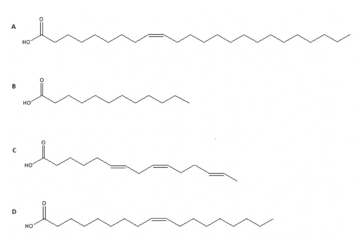 <p>Considering the characteristics of common fatty acids, which of the structures shown below would you consider the most rare fatty acid to be found in nature?</p>