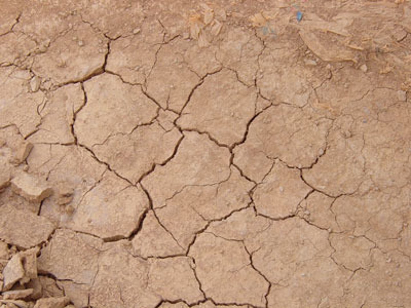<p>when an area goes without rain for a long period of time</p>