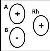Identify the Blood type 
