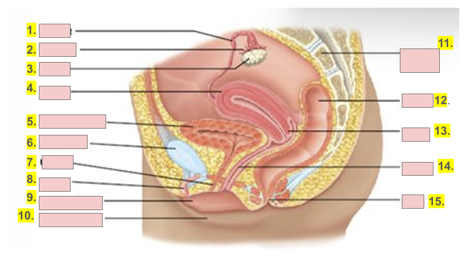 <p>8.</p>