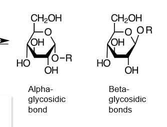 <p>false. they will make very different oligosaccharides, and are not even interchangeable via enzymatic conversion. you can tell which form is being made depending on whether the glucose on the left is alpha or beta</p>