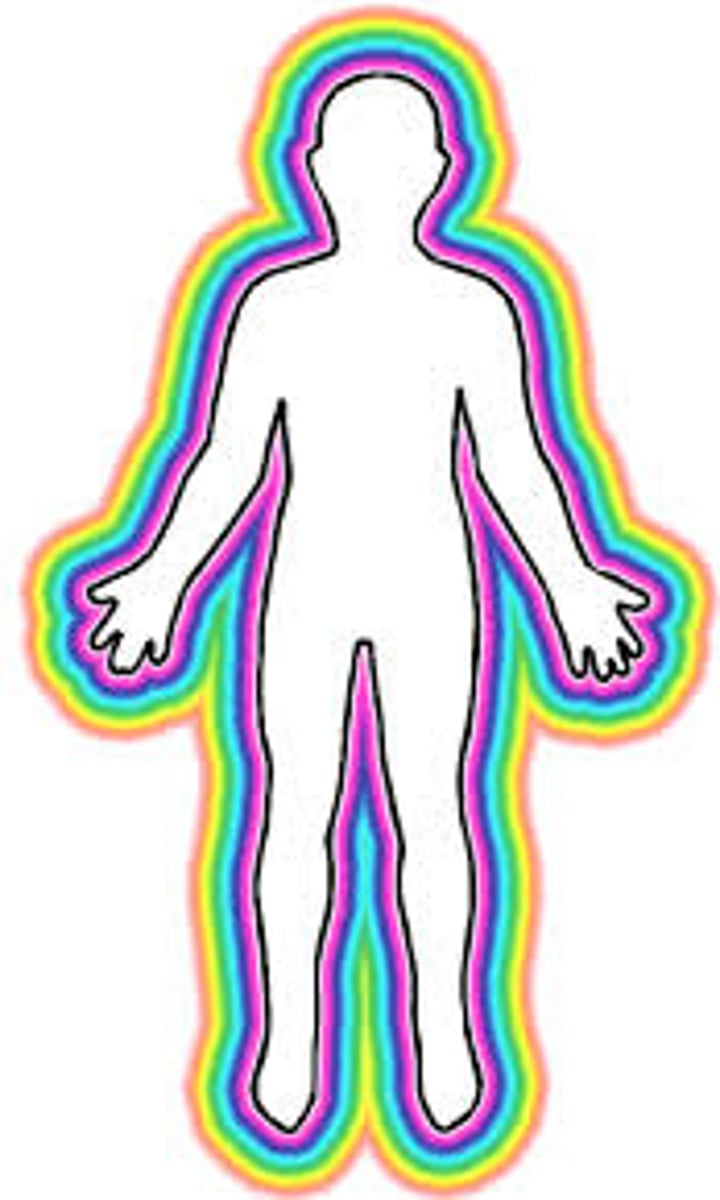<p>shēntǐ - body, health</p>