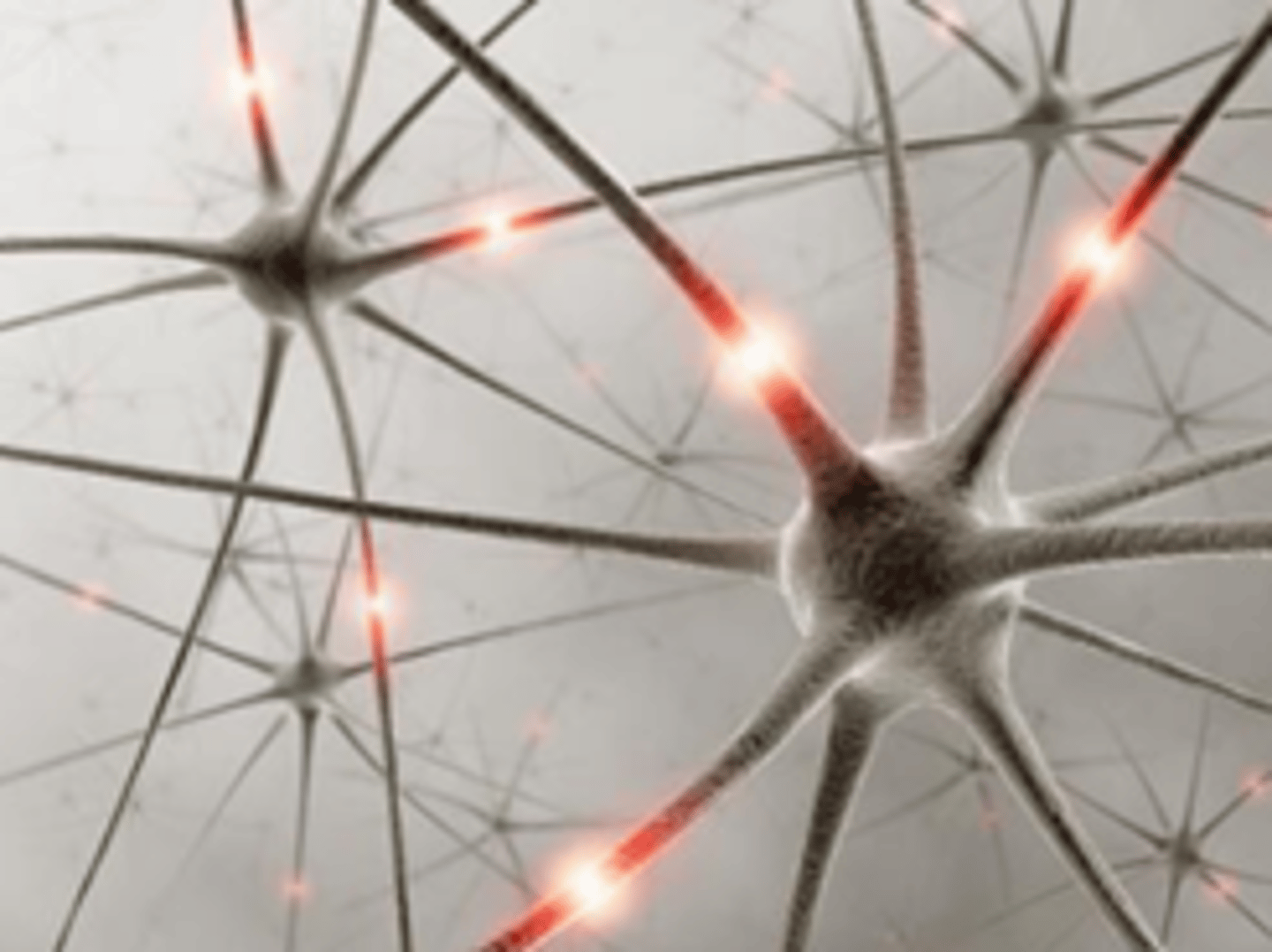 <p>Neuronale netwerken<br>-&gt; effect op perceptie -&gt; sociale interactie, taal, communicatie</p>