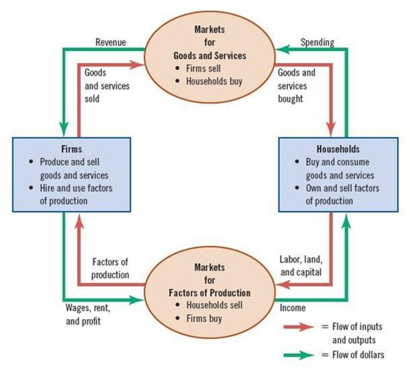 <p>Explains the economy by showing how money and goods flow between households and firms.</p>