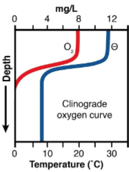 <p>what type of lake and in what season is this graph representing?</p>