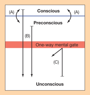 <p>Conscious mind – taking notes</p><p style="text-align: left">Preconscious – ordinary memories – what you had for breakfast, what you did with friends</p><p style="text-align: left">Unconscious – connects to psychological threat</p><p></p>