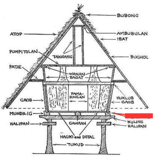 term image