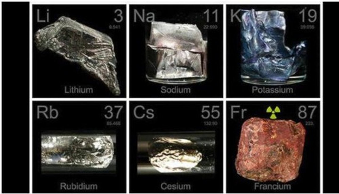<p>Very reactive metals in Group 1 (except hydrogen) that react with water to form bases and flammable hydrogen gas.</p>