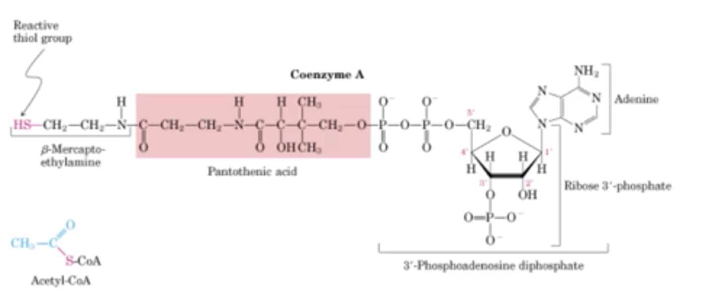<p>When there is a reactive thiol group attached</p>