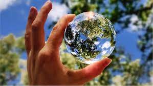 die Umwelt