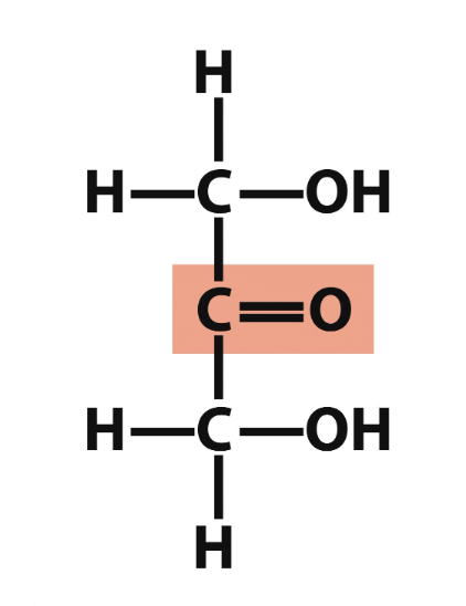 <p>what is the name of this structure? </p>