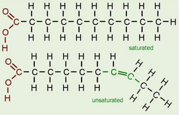 <p>either saturated or unsaturated, have a hydrocarbon chain and a COOH group at one end</p>