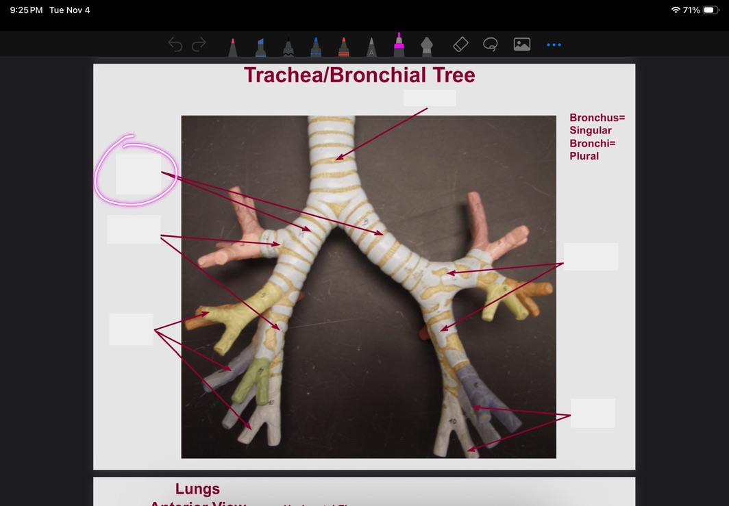 <p>What is this?</p>