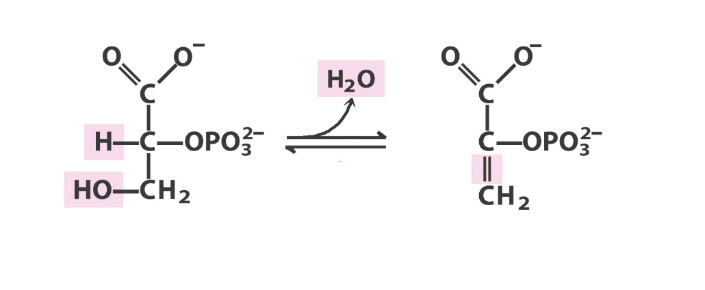 <p>what step in glycolysis, what react/prod</p>