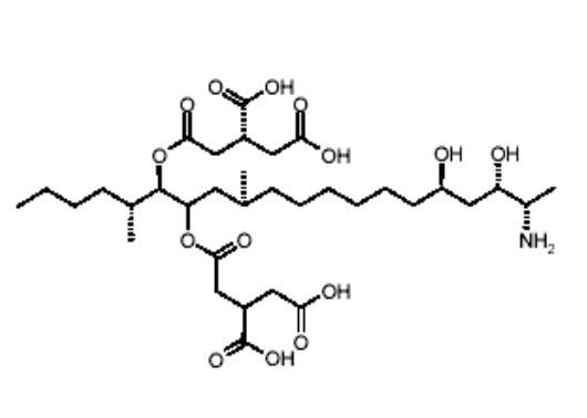 <ul><li><p><strong><u>corn or corn screenings</u></strong></p></li><li><p>clincial signs and postmortem lesions</p></li><li><p>anlayses</p><ul><li><p>representative sample of<strong><u> feed for fumonisin</u></strong></p></li><li><p>tissue sphinganine/sphingosine ratios - limited</p></li></ul></li></ul><p></p>