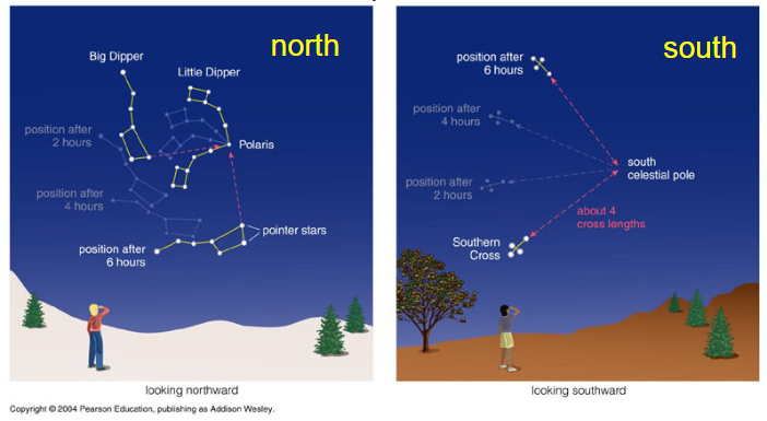<p>Stars rise and set every night, Earth rotates from west to east so stars appear to circle from east to west.</p>