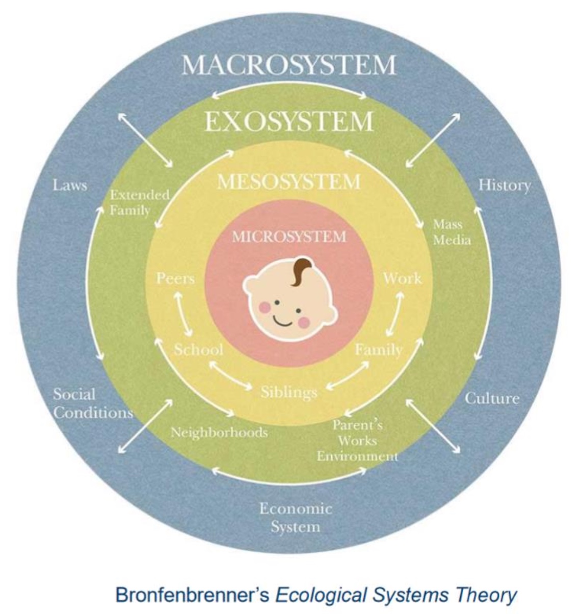 <p>The idea that <span>human development is influenced by a complex set of nested environments, ranging from immediate surroundings like family and school (microsystem) to broader societal factors like culture and government (macrosystem).</span></p>