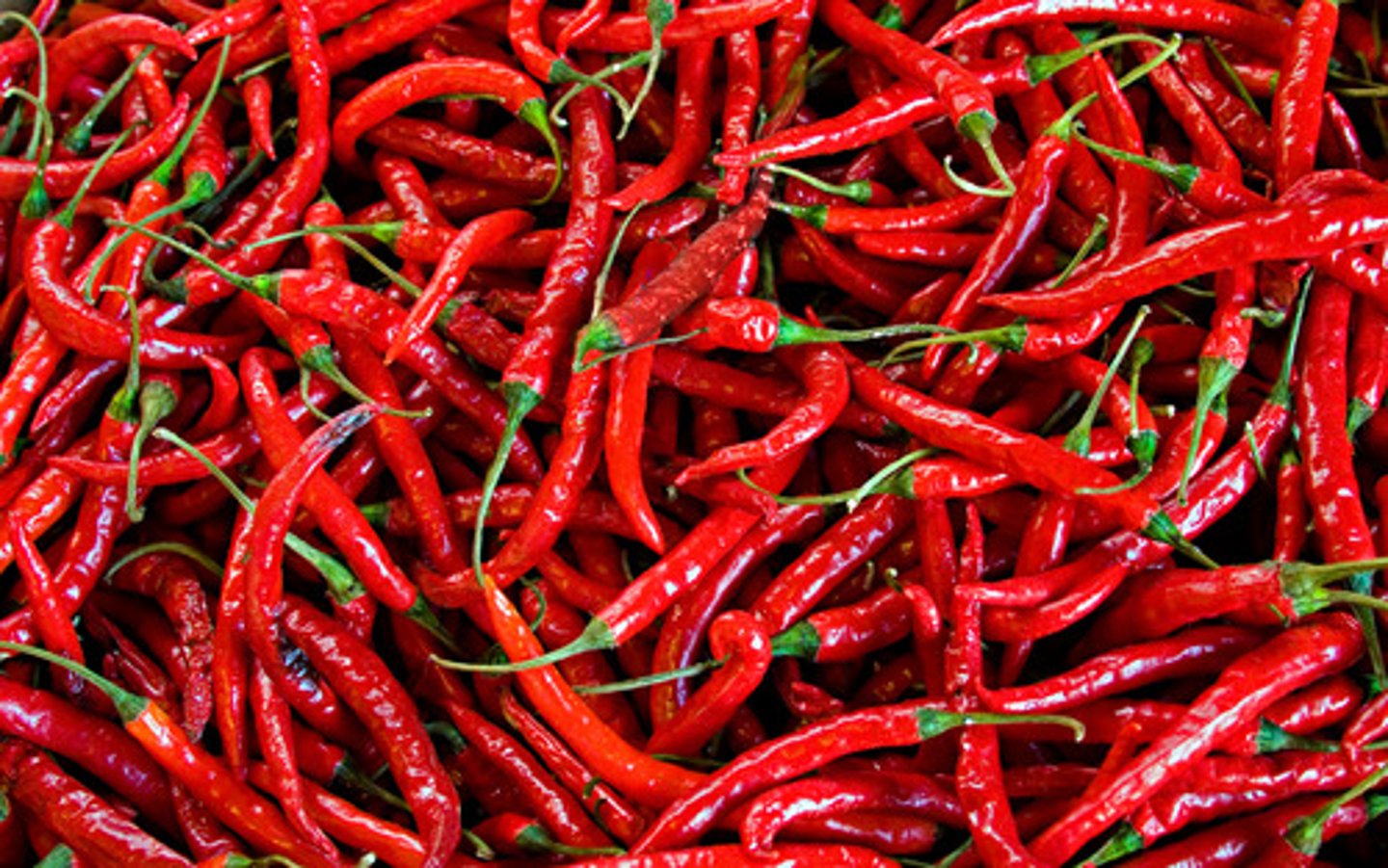 <p>hot peppers</p>