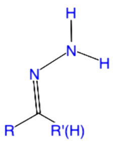 term image