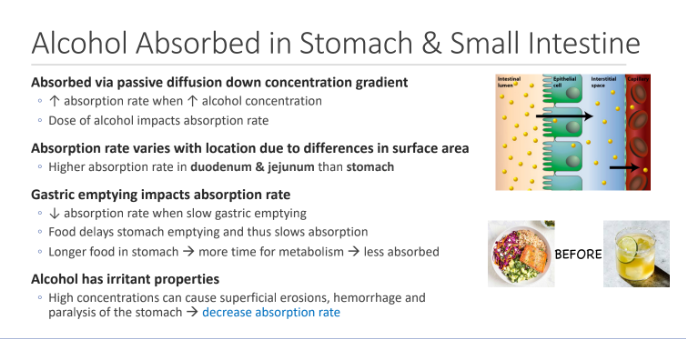 <ol><li><p>Superficial erosions</p></li><li><p>hemorrhage</p></li><li><p><strong>paralysis of the stomach</strong></p></li></ol><p></p>