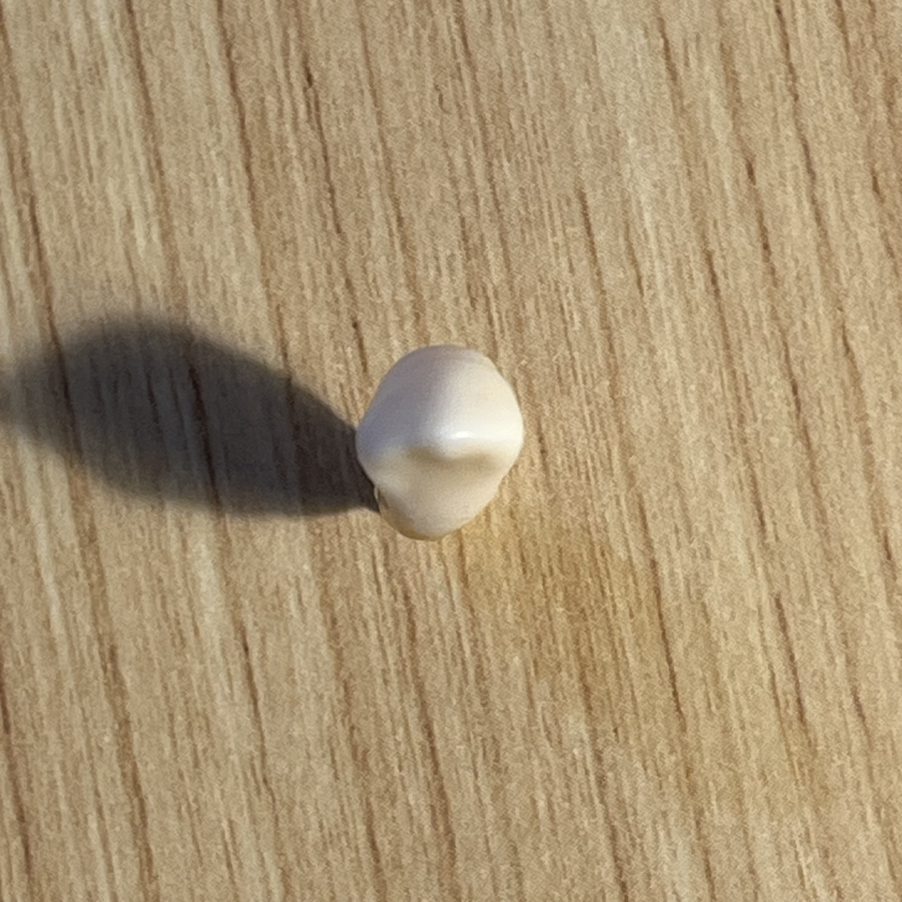 <p>What tooth is this (with view)?</p>