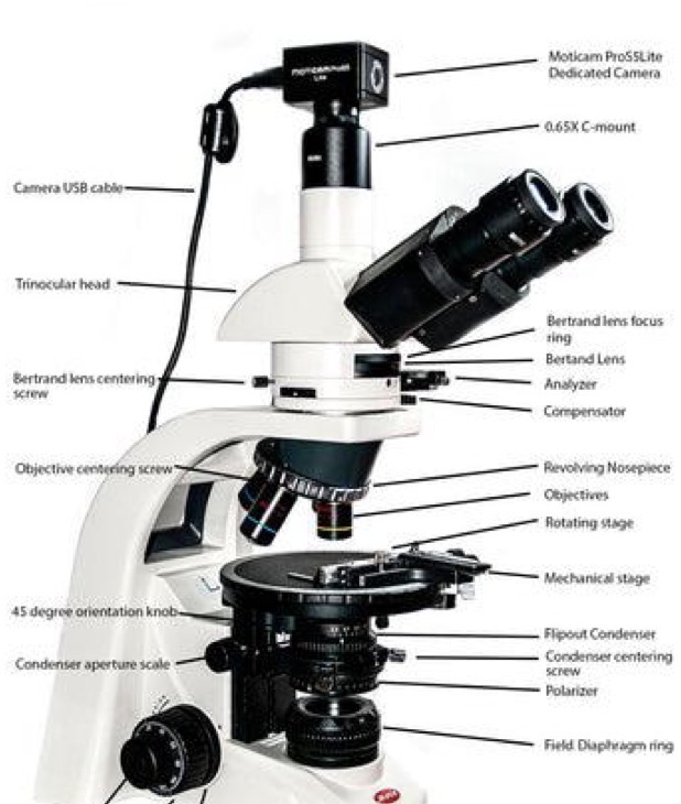 <p>What type of microscope is this?</p>