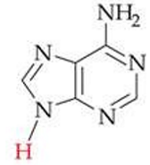 <p>ID this structure</p>