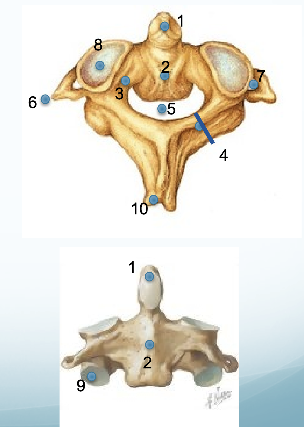 <p>9</p>