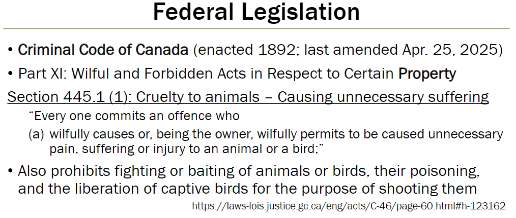 <p><strong>Overview</strong><br> Enacted 1892, last amended Apr. 25, 2025<br> Part XI: Wilful and Forbidden Acts in Respect to Certain Property</p><p><strong>Section 445.1(1): Causing Unnecessary Suffering</strong><br> “Every one commits an offence who (a) wilfully causes or, being the owner, wilfully permits to be caused unnecessary pain, suffering or injury to an animal or a bird”<br> Also prohibits:<br>  Fighting or baiting of animals or birds<br>  Poisoning of animals or birds<br>  Liberation of captive birds for the purpose of shooting them</p>