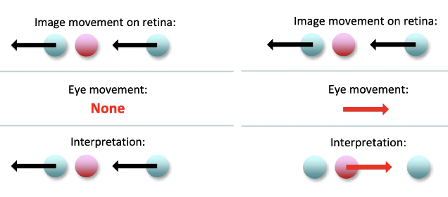 <p>What are the Corollary Discharge theory’s three signals?</p>
