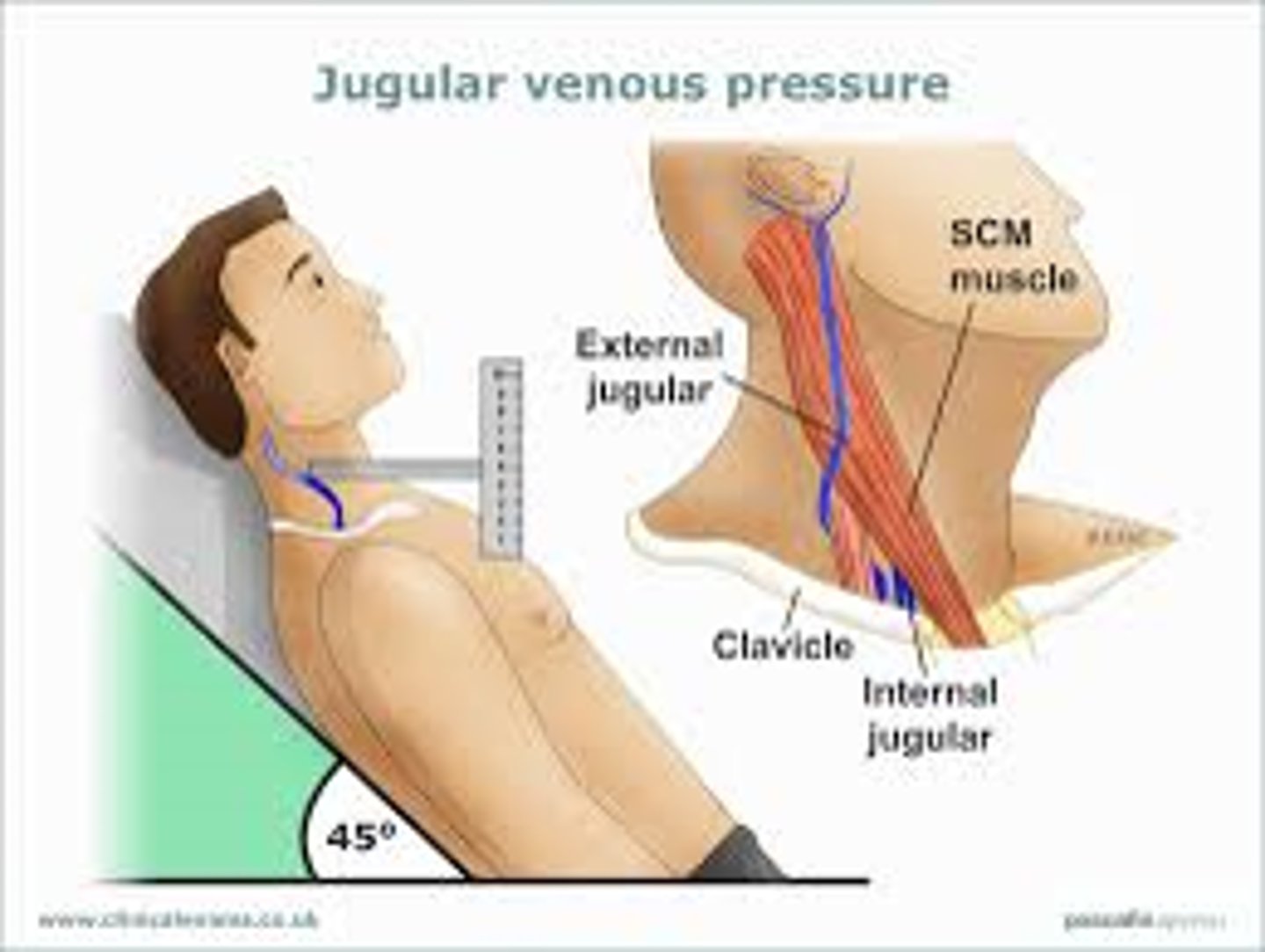 <p>pressure in the venous system</p>