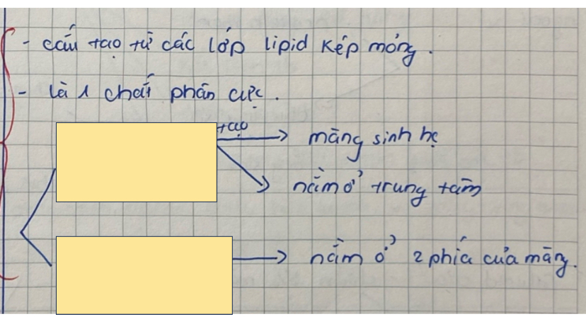 <p>Cấu hình phospholipid thuộc lipid</p>