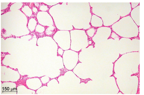 <p>What is this?</p>