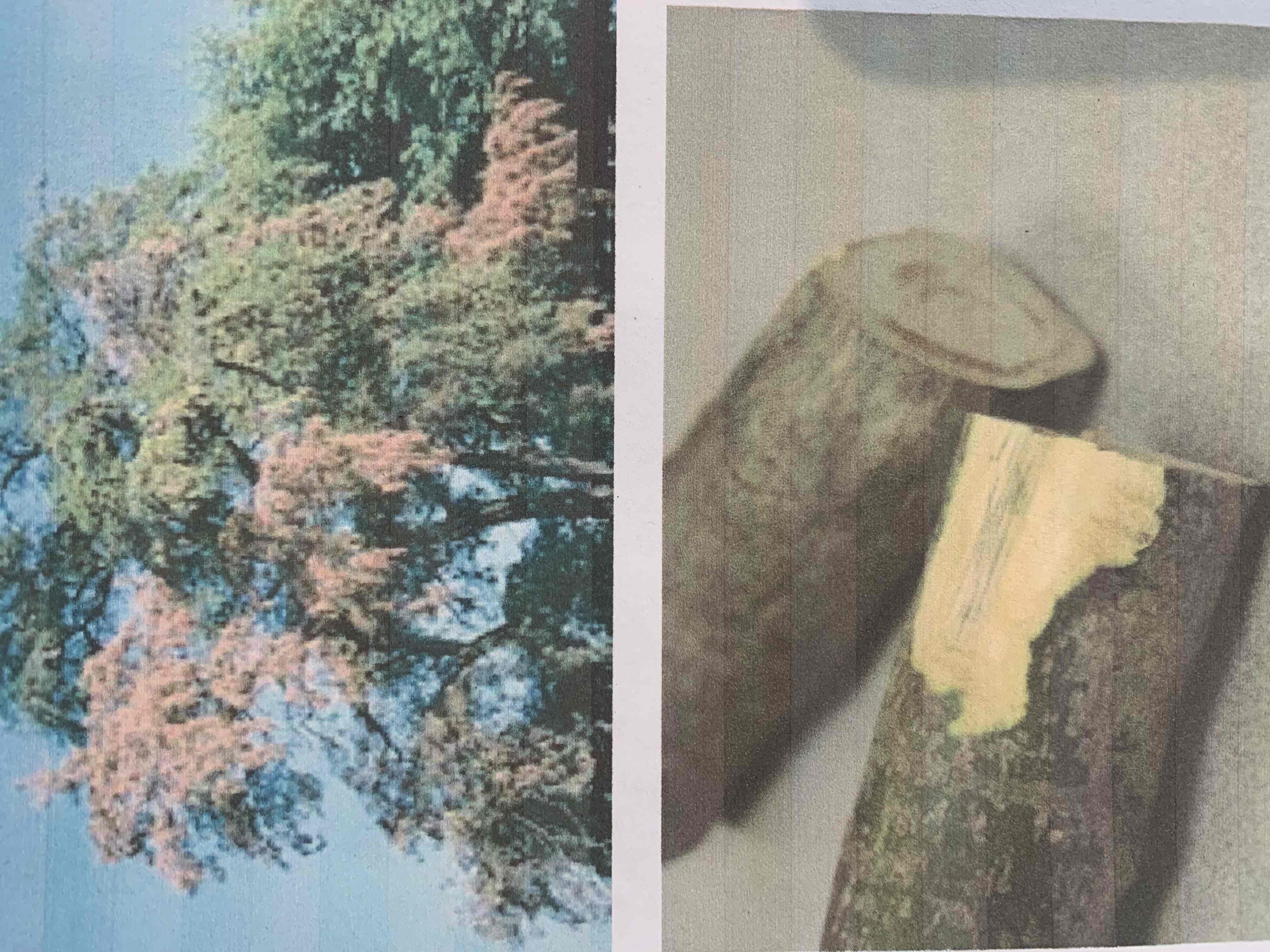 term image