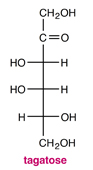 In the following Fischer projection, the hydroxyl group on the chiral carbon furthest from the carbonyl group points _____, meaning that this is the _____ isomer of tagatose.

* right / D
* right / L
* left / D
* left / L