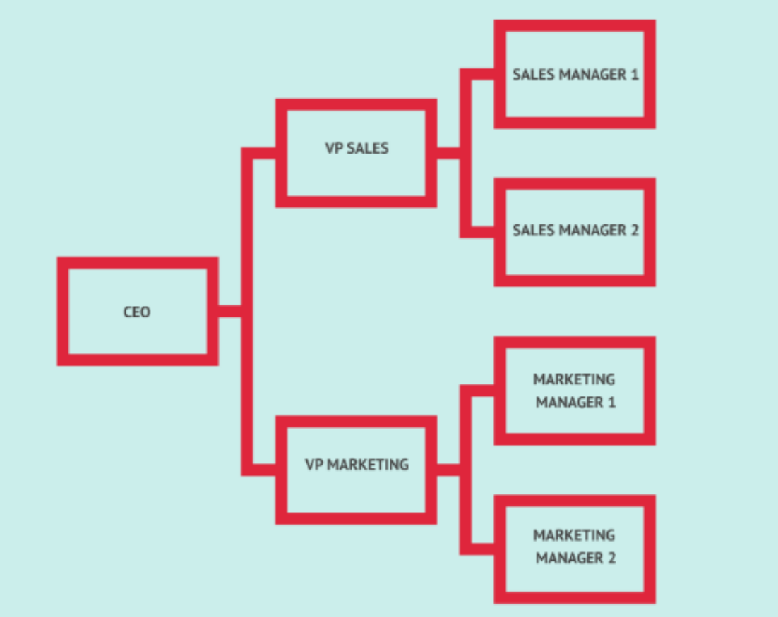 <p><strong><u>Organizational Structures</u></strong></p><ul><li><p>People are grouped according to their <strong><em>area of professional competence</em></strong> and <strong><em>specialization.</em></strong></p></li><li><p>Very bureaucratic and has a <strong><em>top-down approach</em></strong>.</p></li></ul><p></p>
