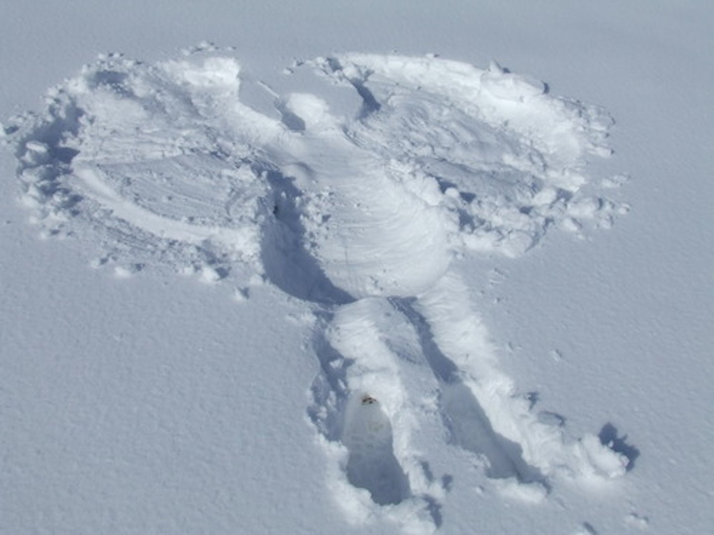 <p>Snow angels are shapes made in the snow by lying down and moving arms and legs.</p>