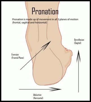 <p>Dynamic movement of the foot that includes dorsiflexion, reversion, and abduction</p>