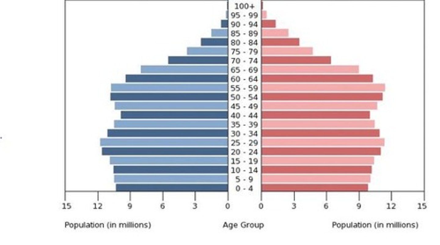 <p>The number of children at the base of the pyramid is comparable to that of the elderly implying a replacement population showing little to no growth. Because their is little decline in the population up to the age of 65 The labor force is consistent and stable.</p>