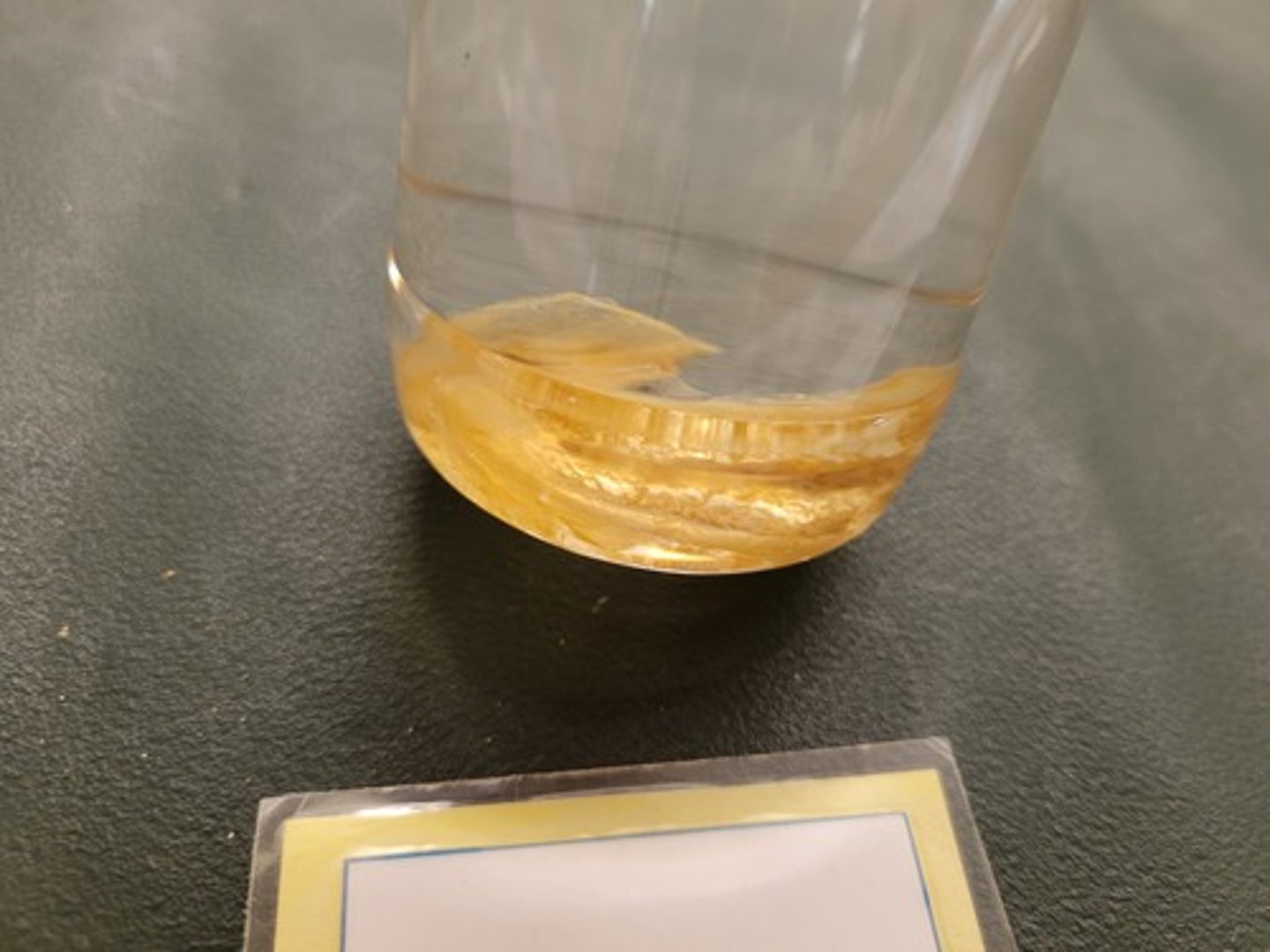 <p>Identify Taxonomy</p>