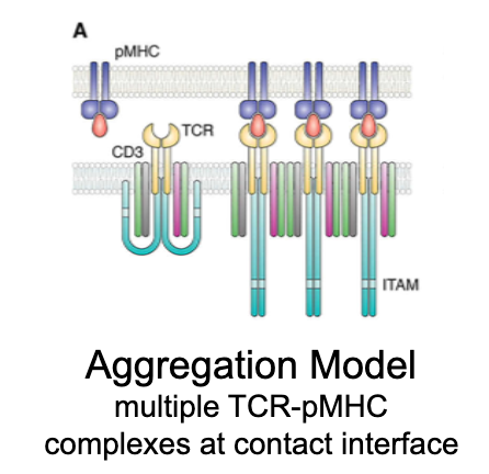 <p>What is the aggregation model?</p>