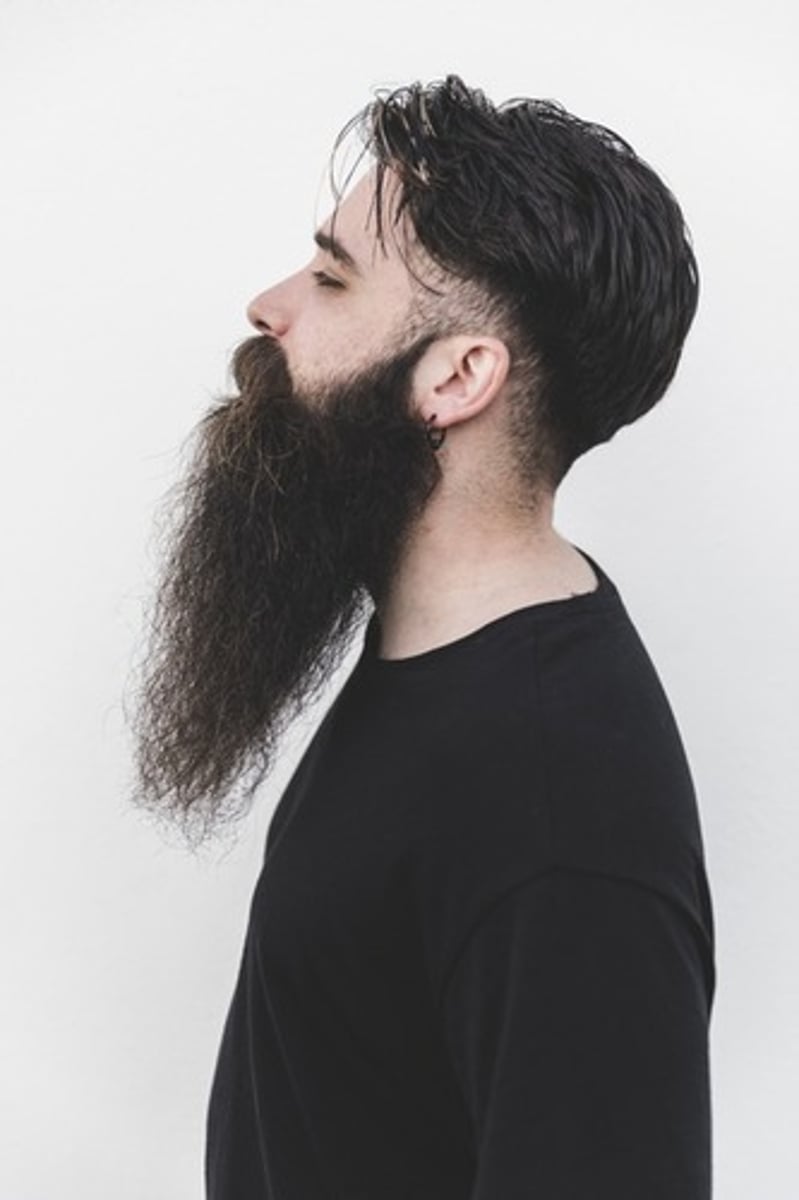 <p>to have a long beard/mustache</p>