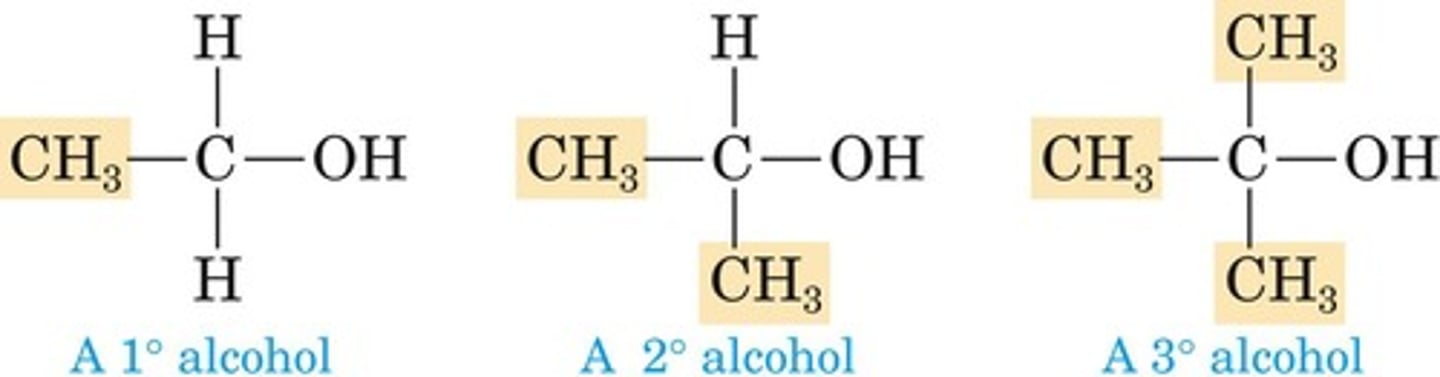 <p>Hydroxyl group on a primary carbon.</p>