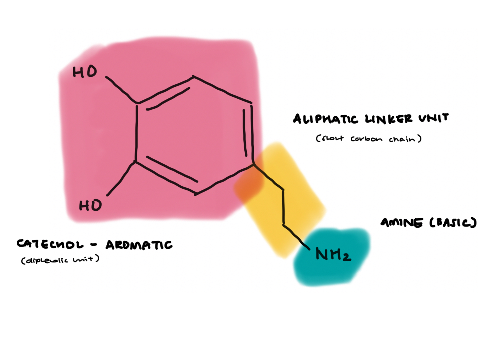 <ul><li><p>aromatic unit (lipophilic)</p><ul><li><p>increases drug lipophilicity + permeability thru membrances, esp the BBB to act and accumulate in the CNS</p></li><li><p>single/multi ring system, often w halogen groups to boost lipophilicity</p></li></ul></li><li><p>amino unit (basic)</p><ul><li><p>ionisable alkyl or heterocyclic 3* amine group</p></li><li><p>can be reacted w strong acids to form water sol. salts → to deliver drug in aq dosage form</p></li></ul></li><li><p>aliphatic linker unit</p><ul><li><p>small fatty unit, often alkyl (carbon) based</p></li></ul></li></ul><p></p>